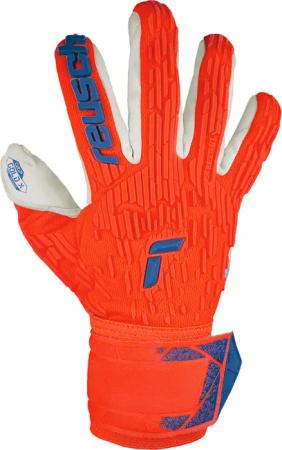 Torwarthandschuhe Reusch Attrakt Gold X Freegel