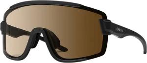 Smith Wildcat Sportbrille