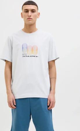 Jack & Jones Print-Shirt "JCOCALMA TEE SS CREW NECK FST", mit Frontprint