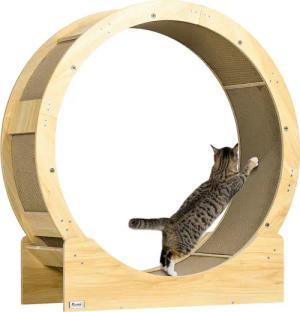 PawHut Katzenlaufrad Eiche Papier B/H/L: ca. 33,5x94x91 cm