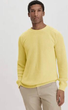 hessnatur Herren Pullover Regular aus Bio-Baumwolle - gelb - Größe 50