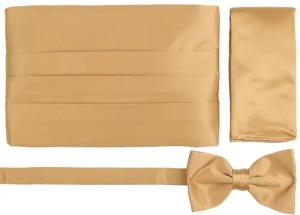 Suitable Set Kummerbund Flieg Einstecktuch Set Gold -