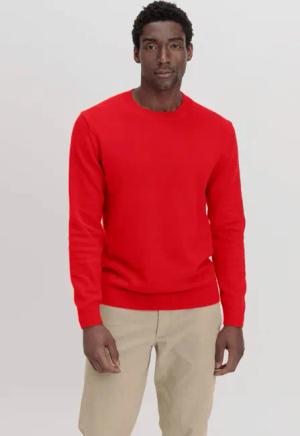hessnatur Herren Pullover Basic aus Bio-Baumwolle - rot - Größe 56