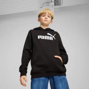 PUMA Kapuzensweatshirt "ESS NO. 1 LOGO HOODIE FL B"