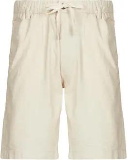 Jack & Jones Shorts JPSTJAIDEN