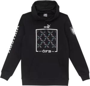 Puma Österreich Ftblicons Hoody