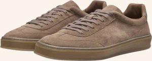 BOSS Sneaker ZAREK_TENN_SD_DB