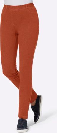 Hose