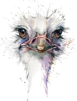 queence Leinwandbild "Vogelstrauss", Kunst-Vogelbilder-Vögel, Premium-Leinwandstoff, Handarbeit aus Deutschland