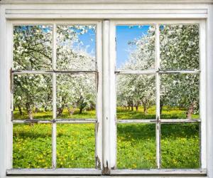 queence Wandsticker "Wiese mit Bäumen", Wandsticker, Wandbild, selbstklebend, 3D, Fenster