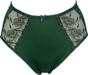 Elbrina High-Waist-Slip EMBROIDERY mit zarter Spitzenapplikation