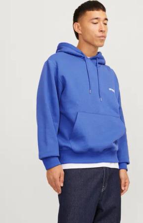 Jack & Jones Kapuzensweatshirt JCOUNION PRINT