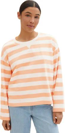 TOM TAILOR Sweatshirt in Streifenoptik
