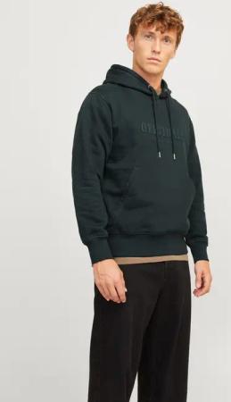 Jack & Jones Kapuzensweatshirt JORFREDERIKSBERG SWEAT