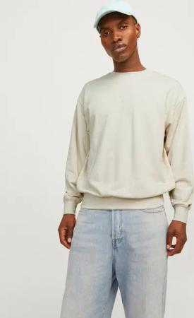 Jack & Jones Sweatshirt JJECHARGE SWEAT