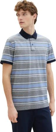 TOM TAILOR Poloshirt in Streifen-Optik