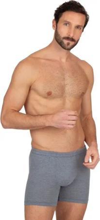 Trigema Boxer TRIGEMA Herren Pant in