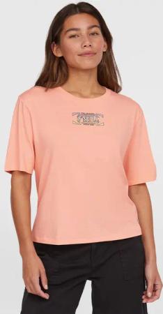 O'Neill T-Shirt SUMMER MUSTHAVES BACK PRINT