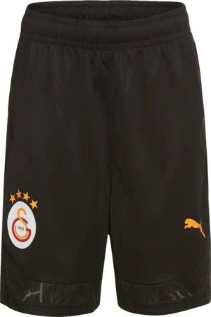 PUMA Trainingsshorts GSK TRAINING SHORTS Galatasaray