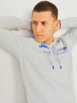 Jack & Jones Kapuzensweatshirt JJALVIS SWEAT
