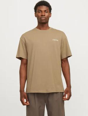 Jack & Jones Rundhalsshirt JJEBRADLEY GRAPHIC