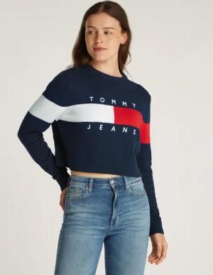 Tommy Jeans Curve Strickpullover TJW CENTER