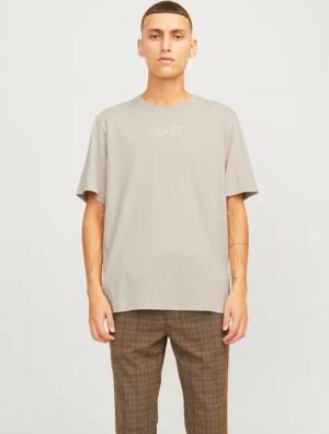 Jack & Jones Rundhalsshirt JPRBLUARCHIE TEE