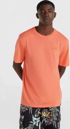 O'Neill T-Shirt O'NEILL SMALL LOGO T-SHIRT