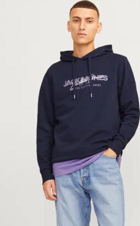 Jack & Jones Kapuzensweatshirt JJALVIS SWEAT
