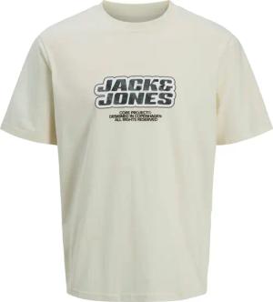 Jack & Jones T-Shirt JCOLIDO AOP
