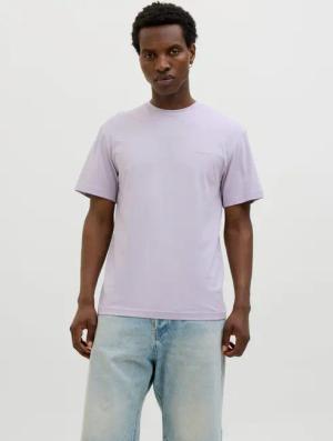 Jack & Jones Rundhalsshirt JJSUMMER VIBES