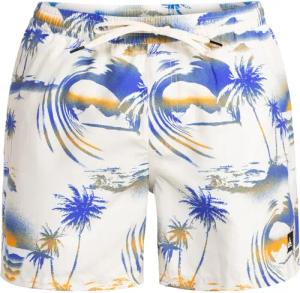 Quiksilver Boardshorts The Airbrush