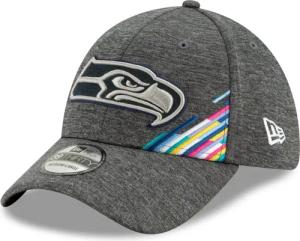 New Era Flex Cap 39Thirty StretchFit