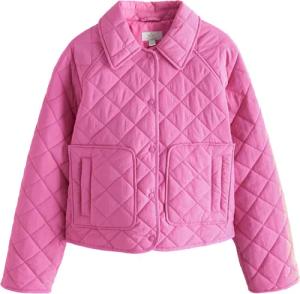 Next Steppjacke Kurze Steppjacke mit Kragen