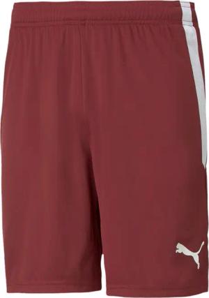 PUMA Trainingsshorts Puma Herren Shorts teamLIGA