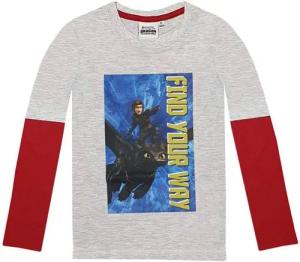 DreamWorks Langarmshirt Dragons Langarmshirt Hicks und