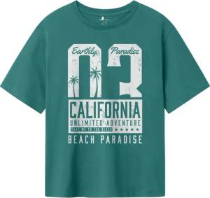Name It T-Shirt NKMHIRLAN S/S NREG