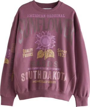 Next Sweater Relaxed Fit Sweatshirt mit