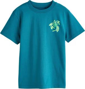 Next T-Shirt Schlichtes Shirt aus 100 %