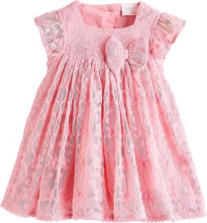 Next Tüllkleid Baby-Kleid mit Lochstickerei, Mesh