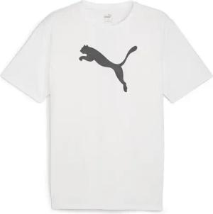 PUMA Funktionsshirt Herren teamRISE Logo T-shirt