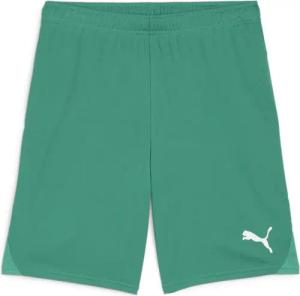 PUMA Trainingsshorts Puma Herren Short teamGOAL