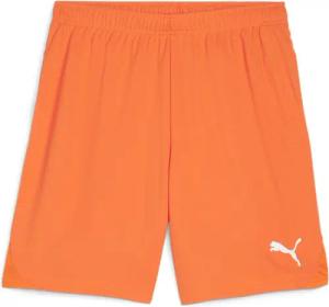 PUMA Trainingsshorts Puma Herren Short teamGOAL