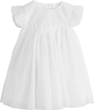 Next Meshkleid Mesh-Babykleid (1-tlg)
