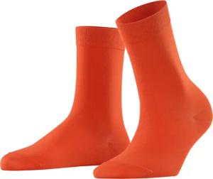 FALKE Socken Cotton Touch (1-Paar) mit