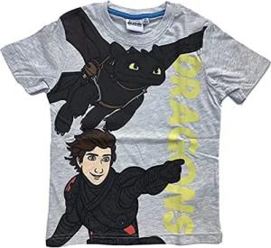 Dragons T-Shirt Dragons "Drachenzähmen leicht gemacht"