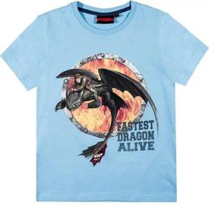 Dragons T-Shirt Dragons "Drachenzähmen leicht gemacht"