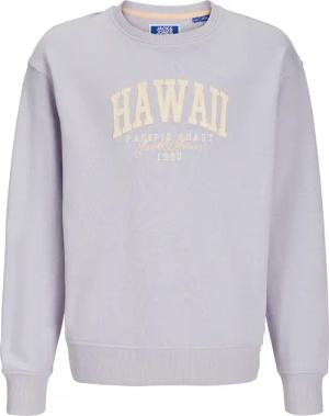 Jack & Jones Junior Sweatshirt JJDETROIT