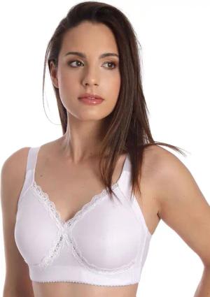 Sassa Minimizer-BH Minimizer Soft BH FUNCTIONAL