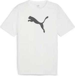 PUMA T-Shirt Puma Kinder T-Shirt teamRISE